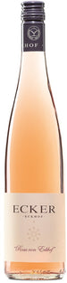 Ecker Rosa von Eckhof 2024